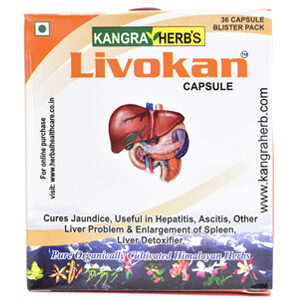 Livokan Capsules (36 Capsules)